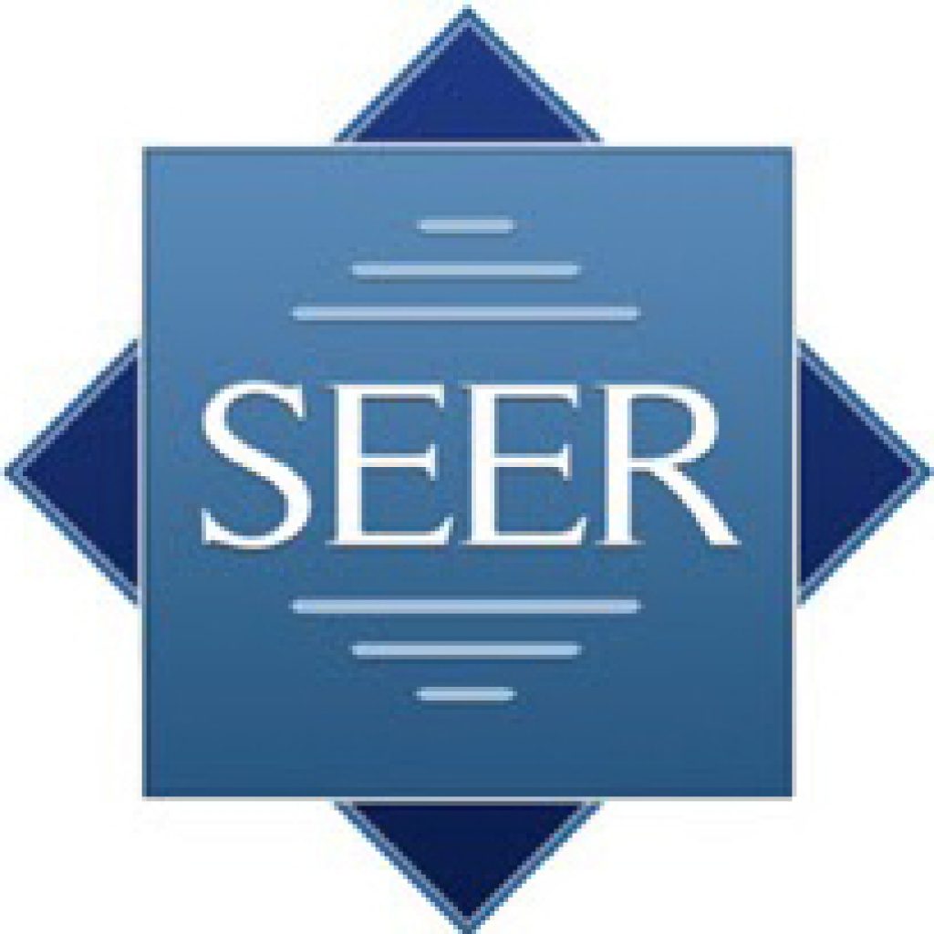 seer screen logo